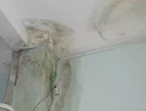 Chống thấm trọn gói nhà ở: Nguyên nhân, hậu quả và giải pháp xử lý triệt để từ chuyên gia.