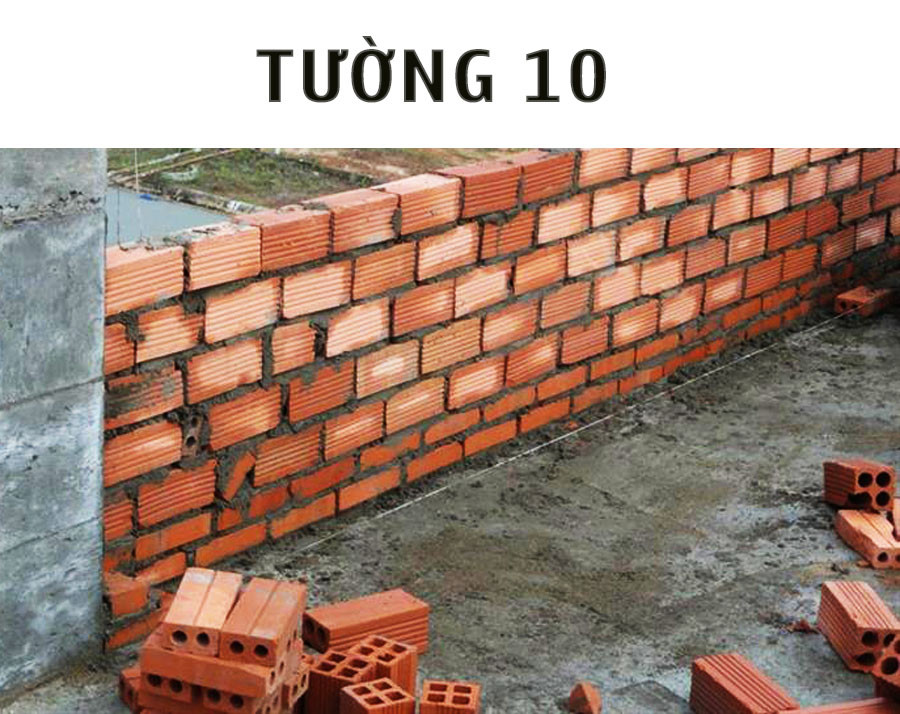 Tường 10 (tường con kiến)